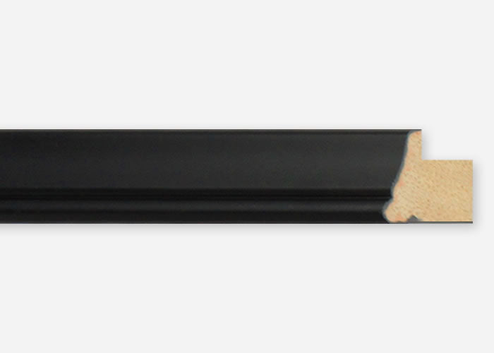 Custom Picture Frame CFSZ1001