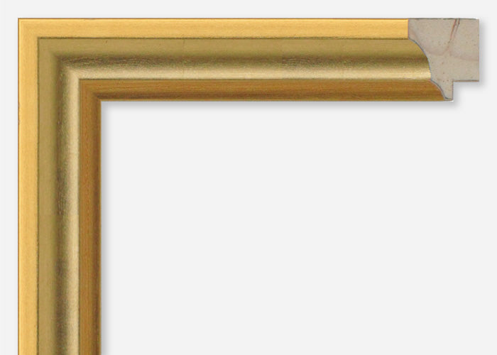 Custom Picture Frame CFSX1300-205