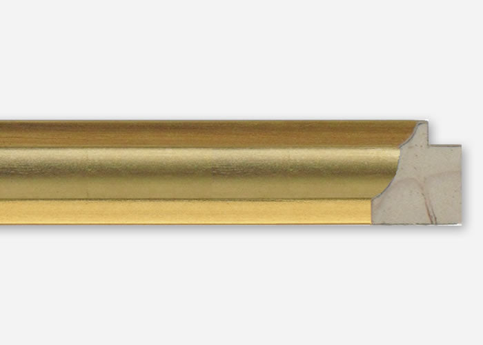 Custom Picture Frame CFSX1300-205