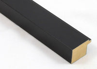 Custom Picture Frame CFSX1300-290