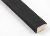 Custom Picture Frame CFSX1300-295