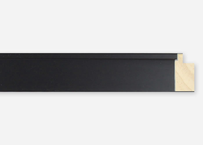 Custom Picture Frame CFSX1300-295