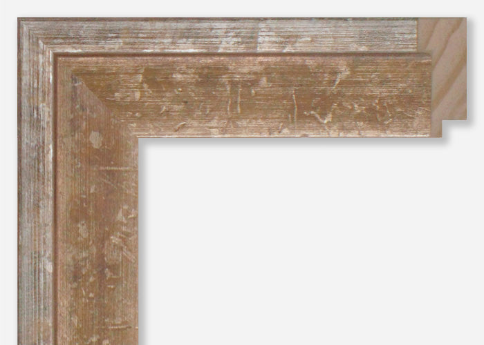 Custom Picture Frame CFSX1300-560
