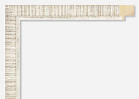 Custom Picture Frame CFSX1300-815