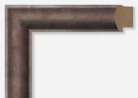 Custom Picture Frame CFSX1380-20