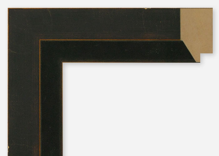 Custom Picture Frame CFSX1380-35