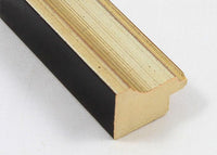 Custom Picture Frame CFSX1385-05