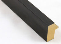 Custom Picture Frame CFSX1385-30