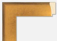 Custom Picture Frame CFSX1395-85
