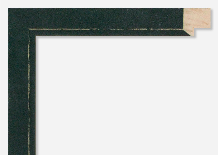 Custom Picture Frame CFSX1600-55
