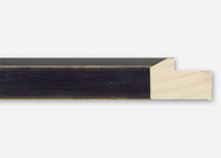 Custom Picture Frame CFSX1610-05