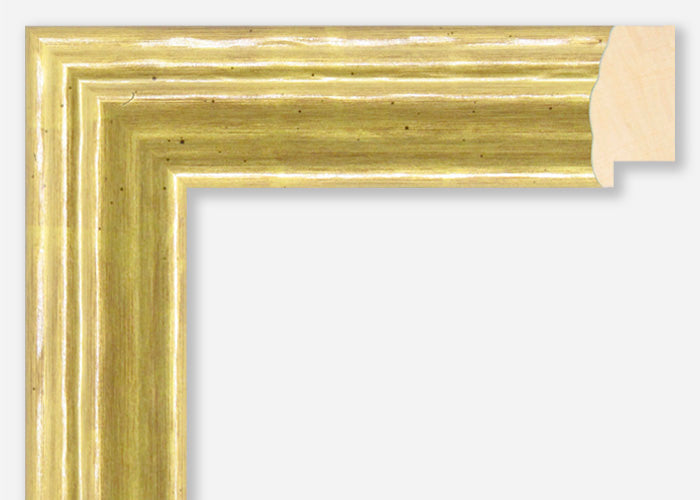 Custom Picture Frame CFSX1610-25