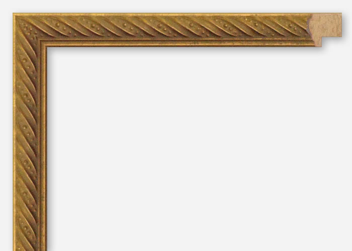 Custom Picture Frame CFSX1700-40x