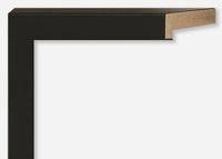 Custom Picture Frame CFSY201-004R