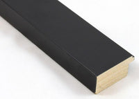 Custom Picture Frame CFSY201-364R