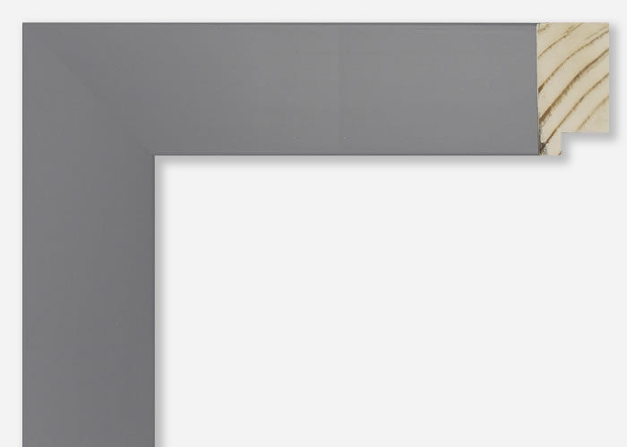 Custom Picture Frame CFSY201-422RG