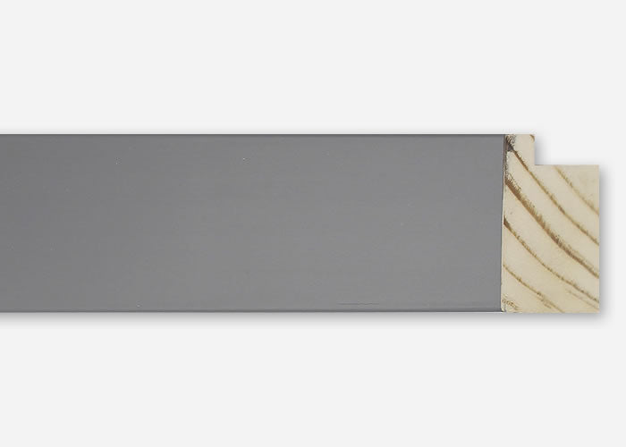 Custom Picture Frame CFSY201-422RG