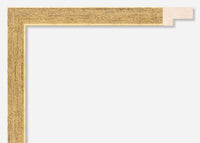 Custom Picture Frame CFSX2305-25x