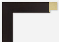 Custom Picture Frame CFSX2410-45