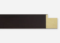 Custom Picture Frame CFSX2410-45