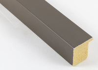 Custom Picture Frame CFSX2410-50