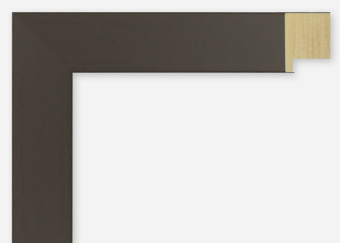 Custom Picture Frame CFSX2410-50