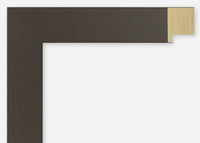 Custom Picture Frame CFSX2410-50