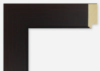 Custom Picture Frame CFSX2410-95