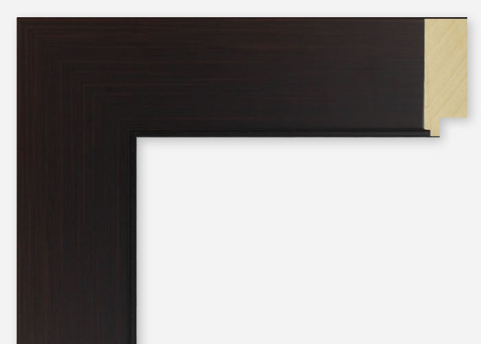 Custom Picture Frame CFSX2410-95