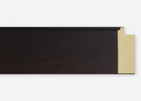 Custom Picture Frame CFSX2410-95
