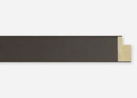 Custom Picture Frame CFSX2415-30