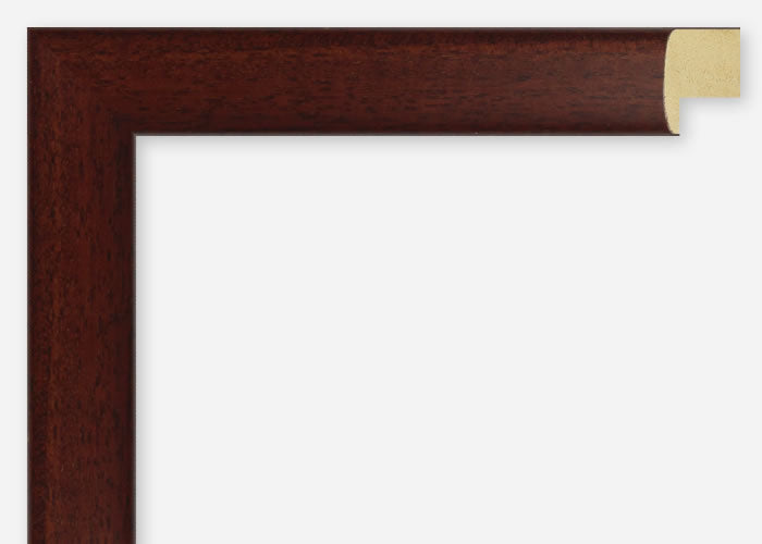 Custom Picture Frame CFSX2415-45