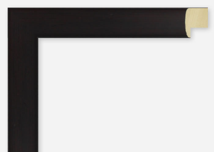 Custom Picture Frame CFSX2415-50