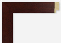 Custom Picture Frame CFSX2415-70