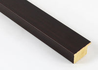 Custom Picture Frame CFSX2415-75