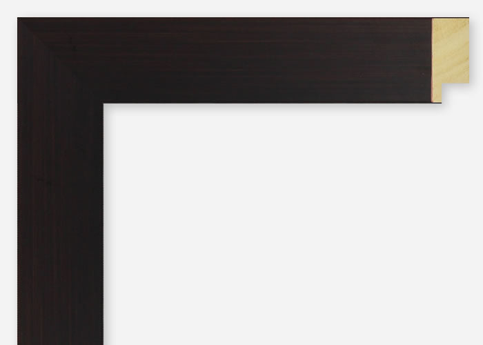 Custom Picture Frame CFSX2415-75
