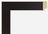 Custom Picture Frame CFSX2415-75