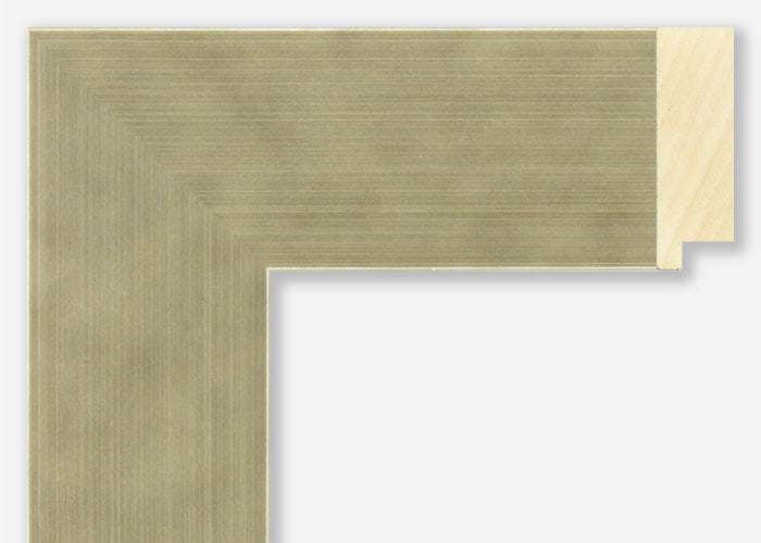 Custom Picture Frame CFSX2430-55
