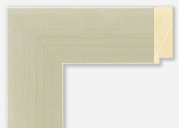 Custom Picture Frame CFSX2430-60
