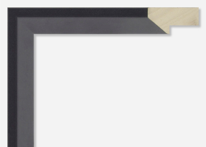Custom Picture Frame CFSX2440-95
