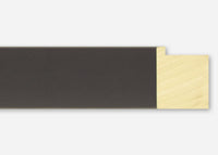 Custom Picture Frame CFSX2445-60