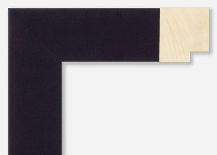Custom Picture Frame CFSX2445-95