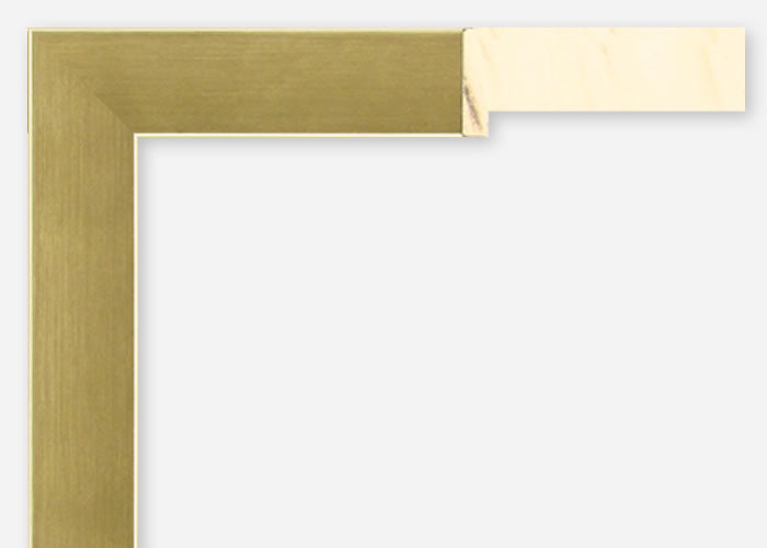 Custom Picture Frame CFSX2450-50