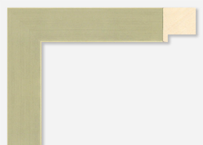 Custom Picture Frame CFSX2450-55