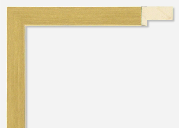 Custom Picture Frame CFSX2450-65