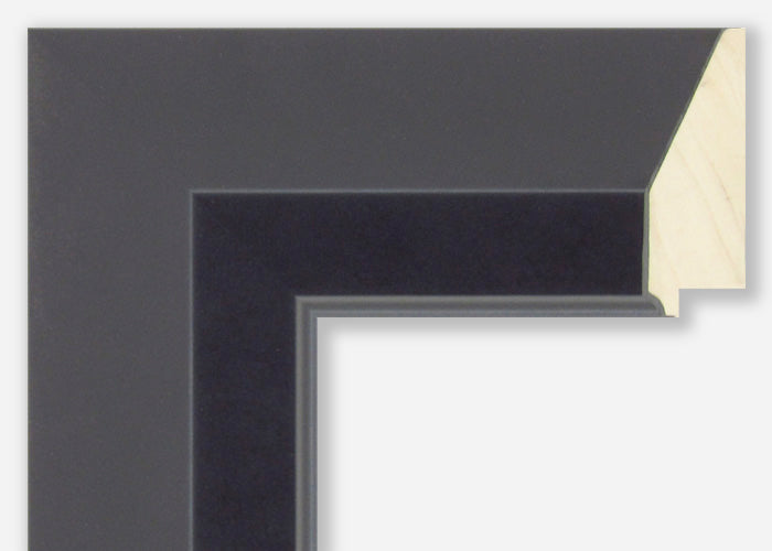 Custom Picture Frame CFSX300-255