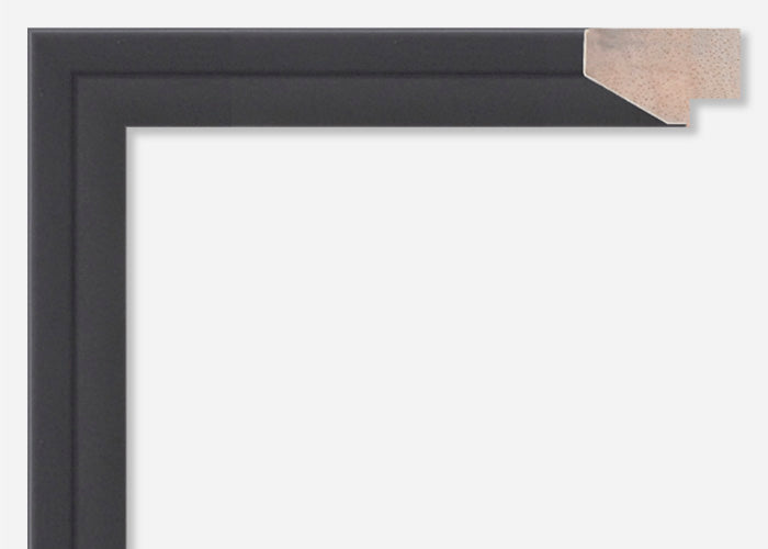 Custom Picture Frame CFSX300-290