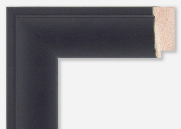 Custom Picture Frame CFSX300-455