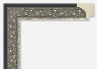 Custom Picture Frame CFSX300-665