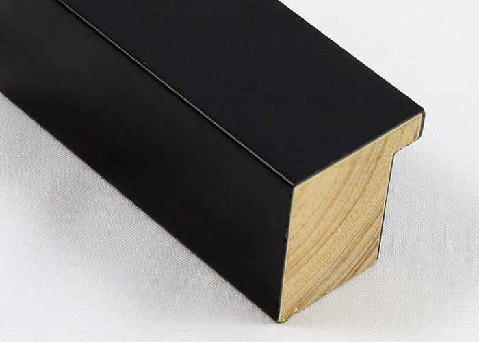 Custom Picture Frame CFSX300-845